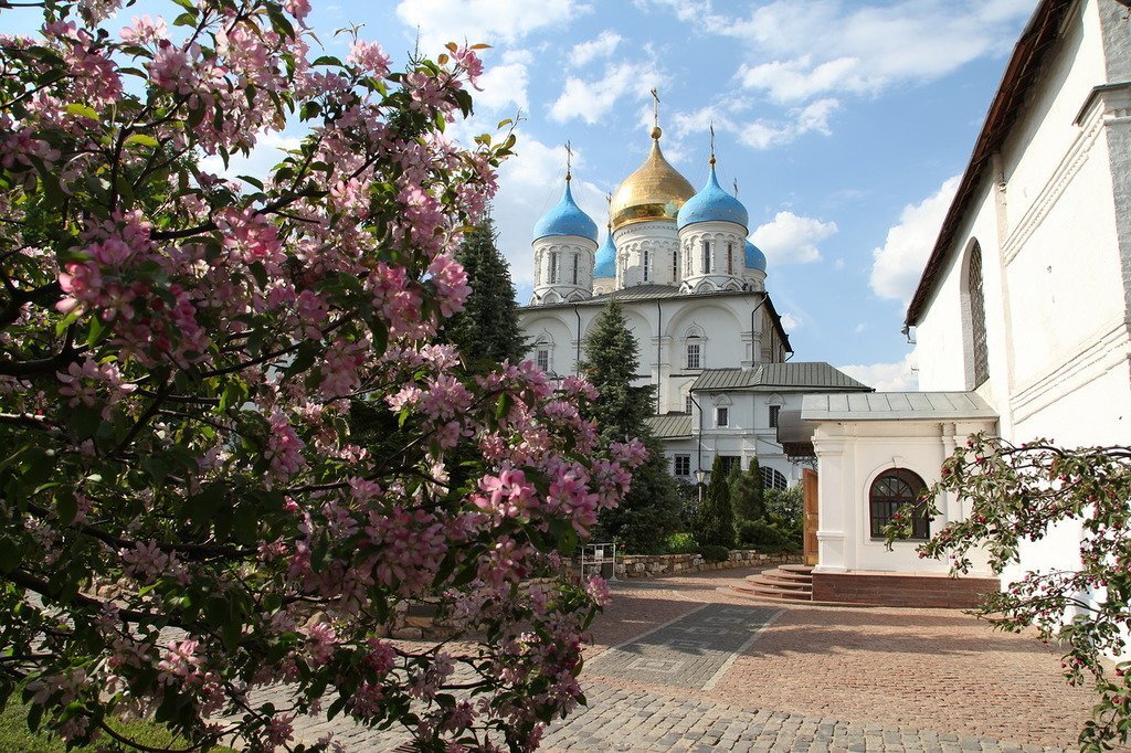 Мой Новоспасский сад