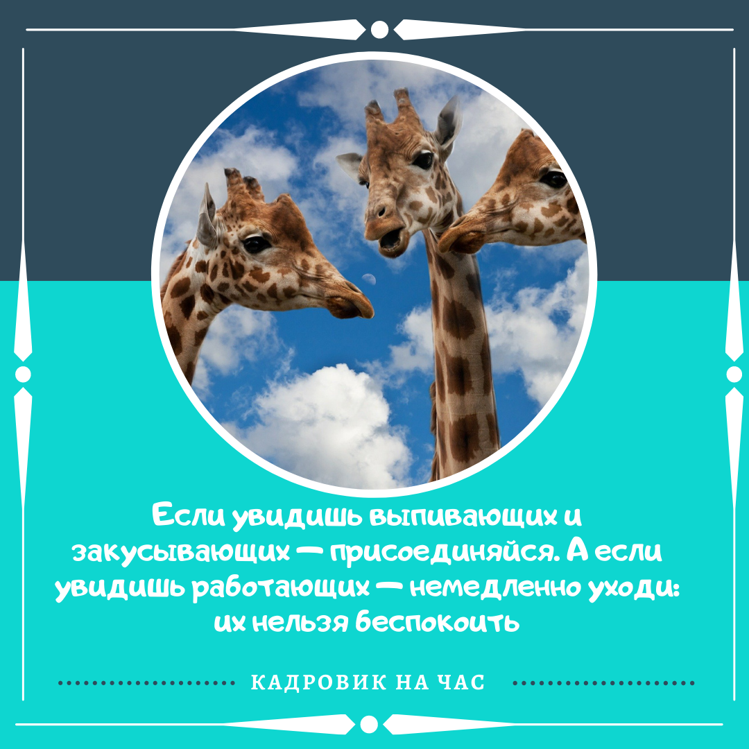 ПОДПИСЫВАЙТЕСЬ НА КАНАЛ, что бы получать информацию о трудовом законодательстве в легкой и доступной форме