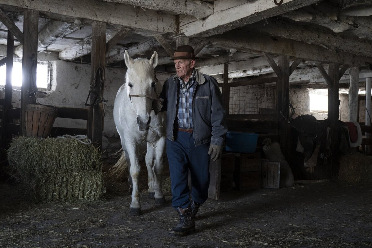 Кадр из фильма "Падение", фото взято из открытых источников в сети