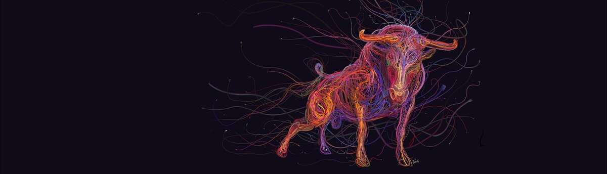 Фотография взята из источника yandex.ru