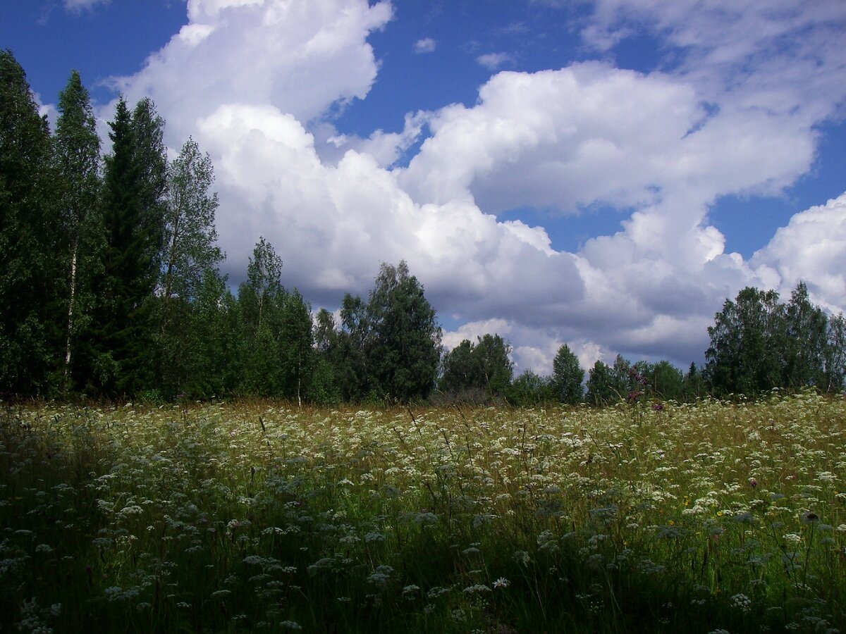 фото Ларисы Полуэктовой
