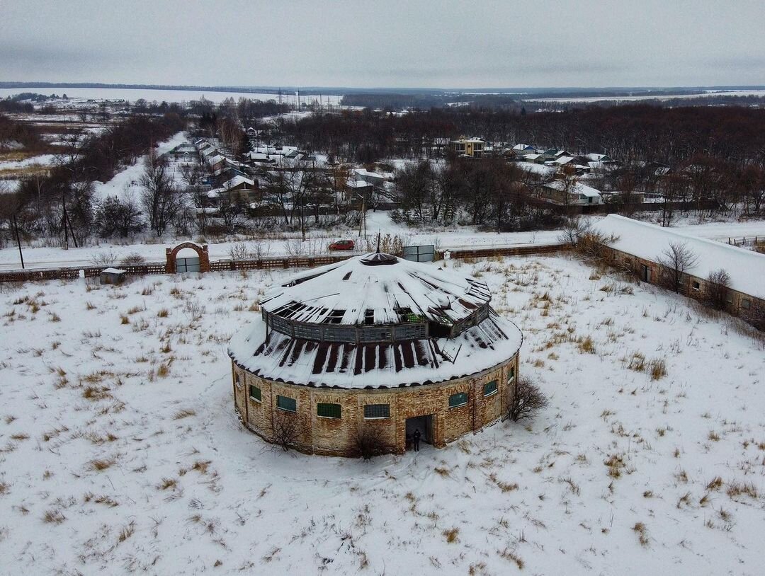 Фото: Андрей Новичков