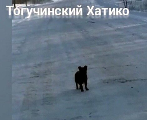 Скриншот из видео