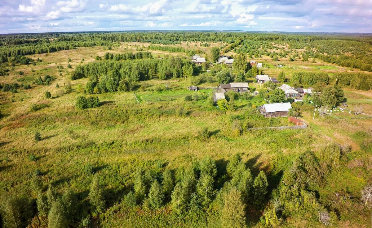 Урочище Чупрово – загадка чудских идолов. Фото: Яндекс картинки