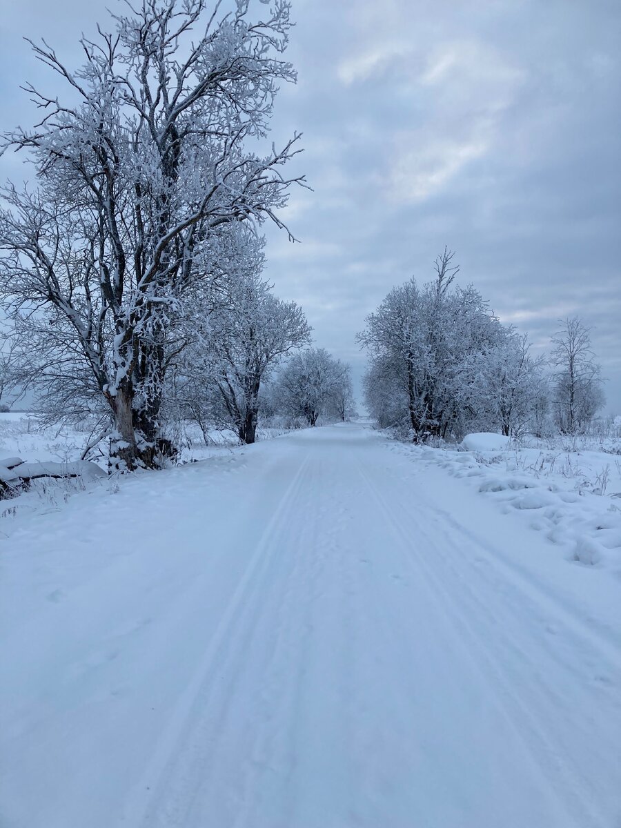 Наша лучшая дорога