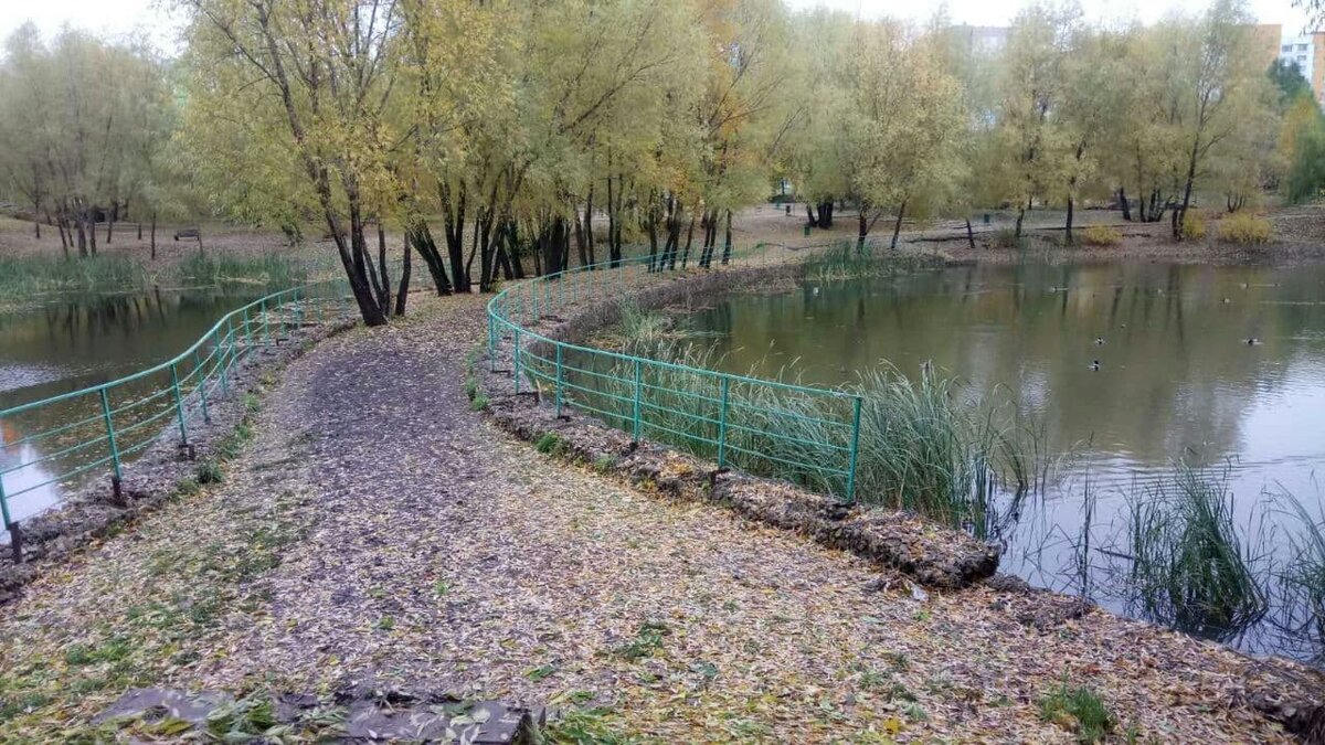 Фото автора.