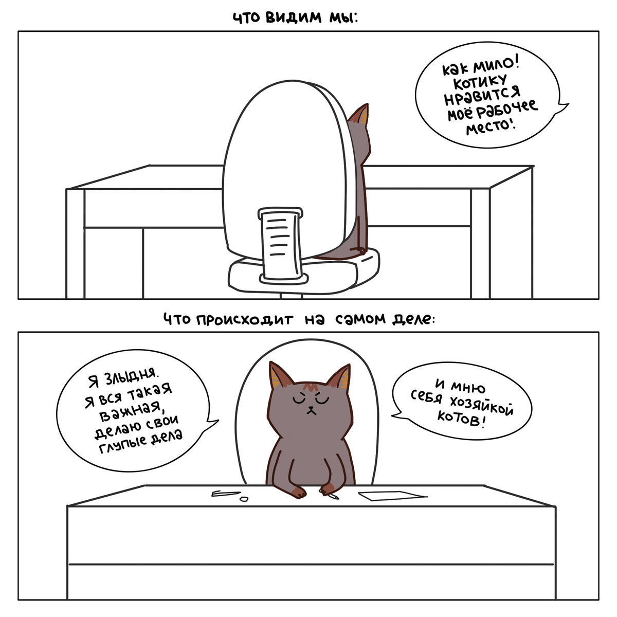 Люди часто сидят за столом, изображая бурную деятельность, но котики то знают, что люди ничего полезного не делают!