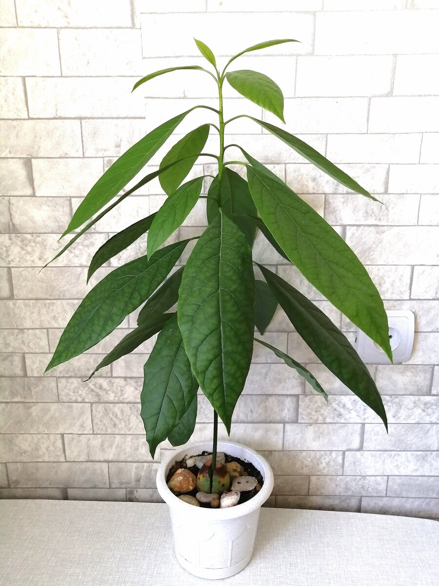 Фото принадлежит каналу 