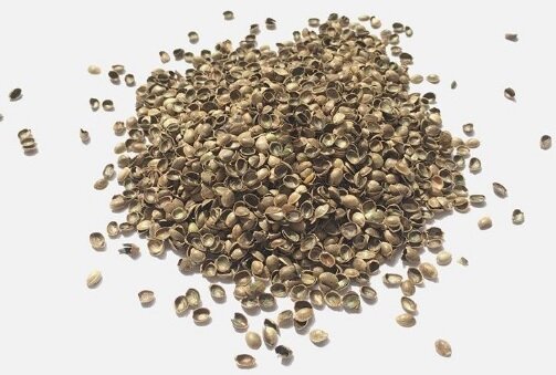 Лузга (шелуха) семян конопли. 