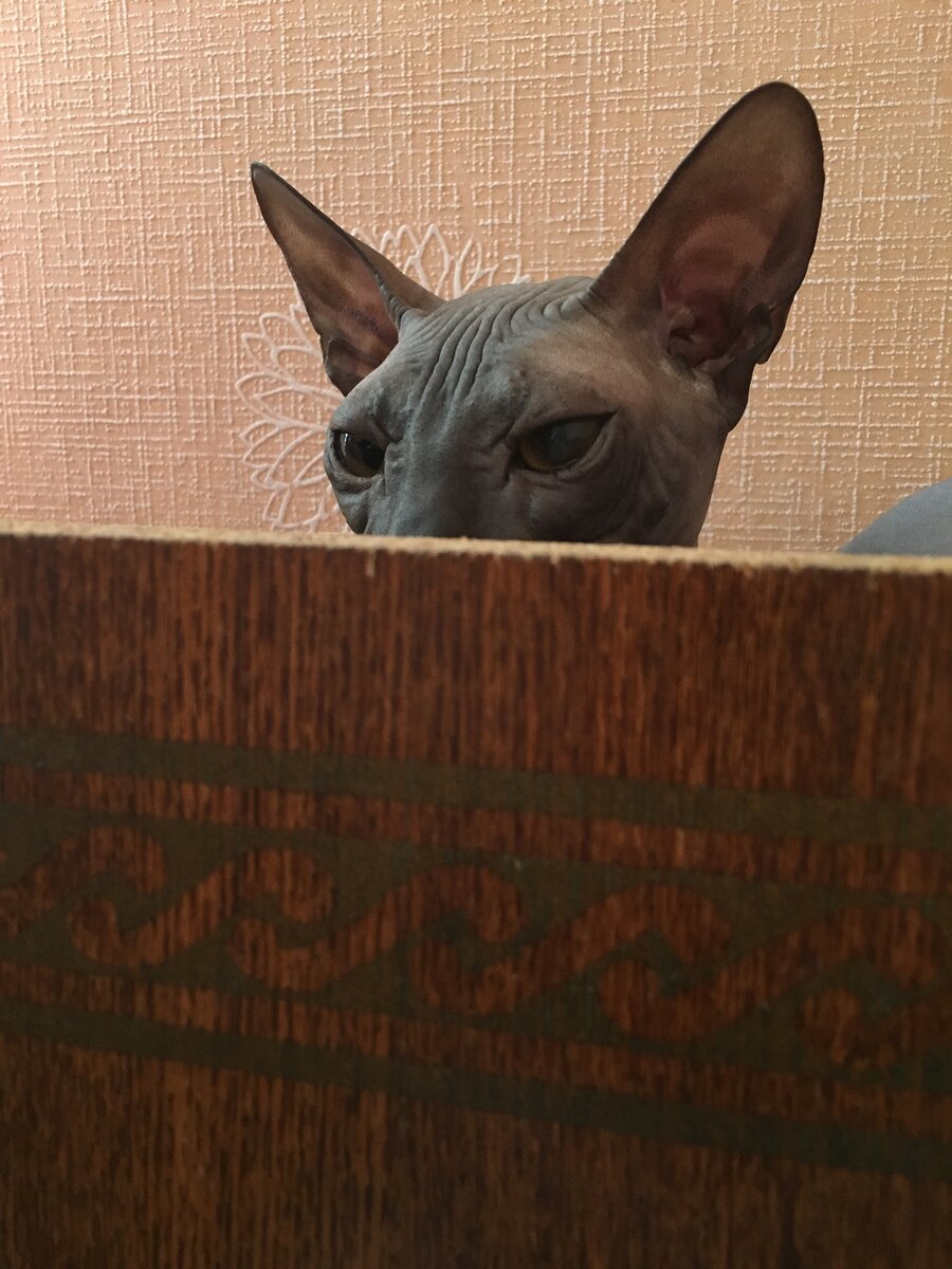 Открой личико...😅