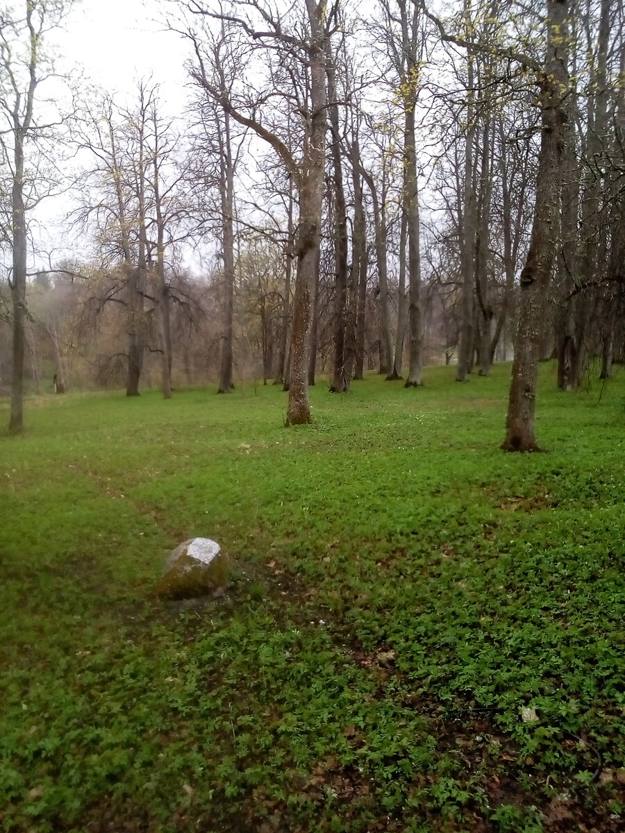 В парке до сих про приятно гулять