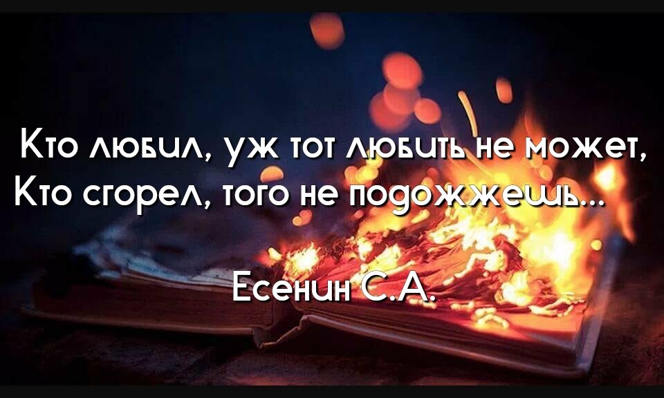 Пока я в атмосфере словно сгораю. Ты меня не любишь не жалеешь. Есенин ты меня не любишь не жалеешь стих. Стих Есенина ты меня не любишь не жалеешь. Стихи Есенина ты меня любишь не жалеешь.