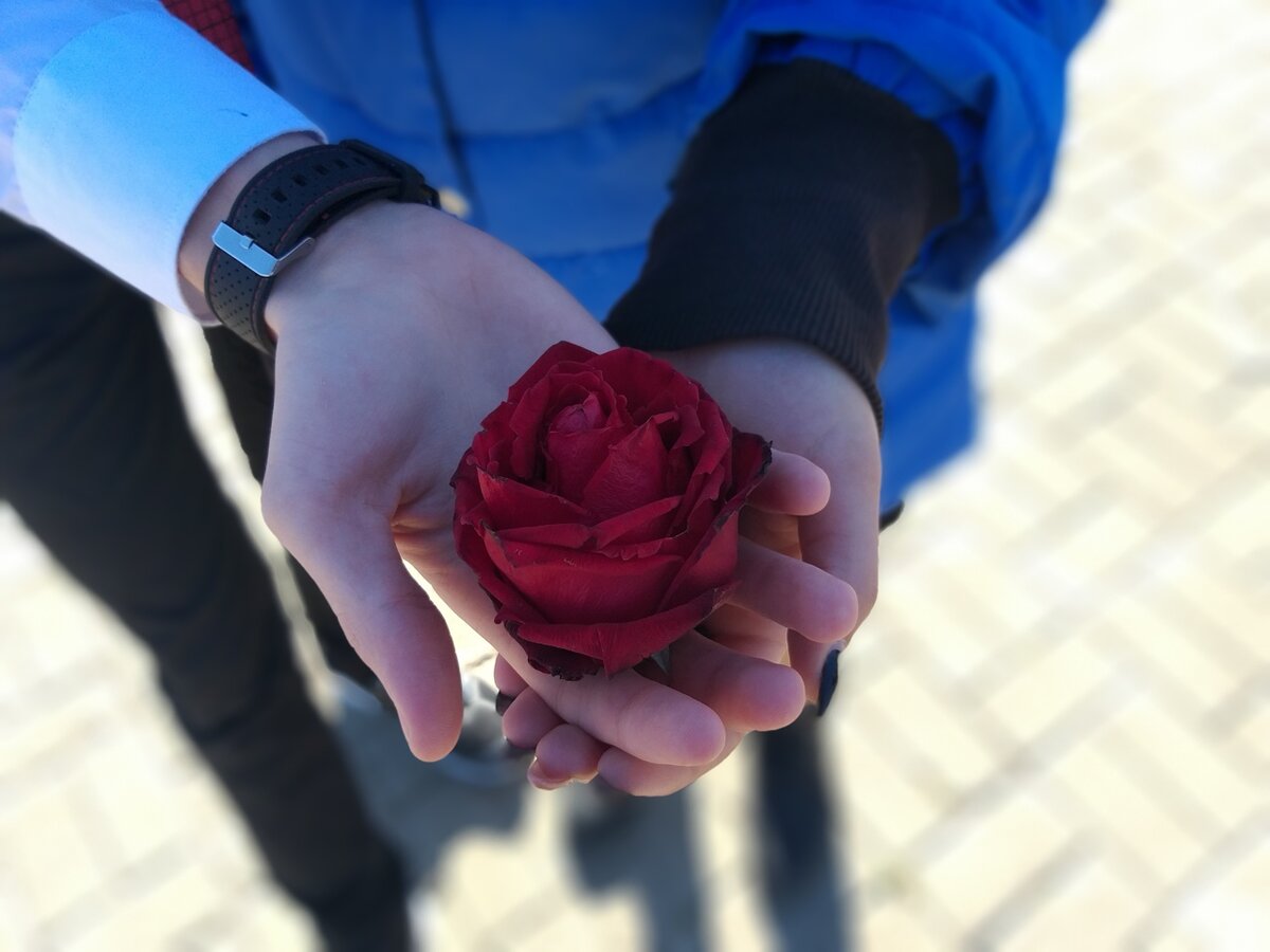                                                                                Фото авторское.