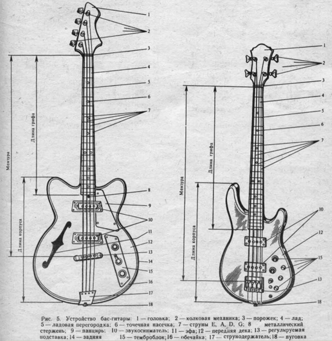 Отличие электрогитар. Строение электро бас гитары. Строение бас гитары 4 струны. Классическая гитара 4/4 габариты.