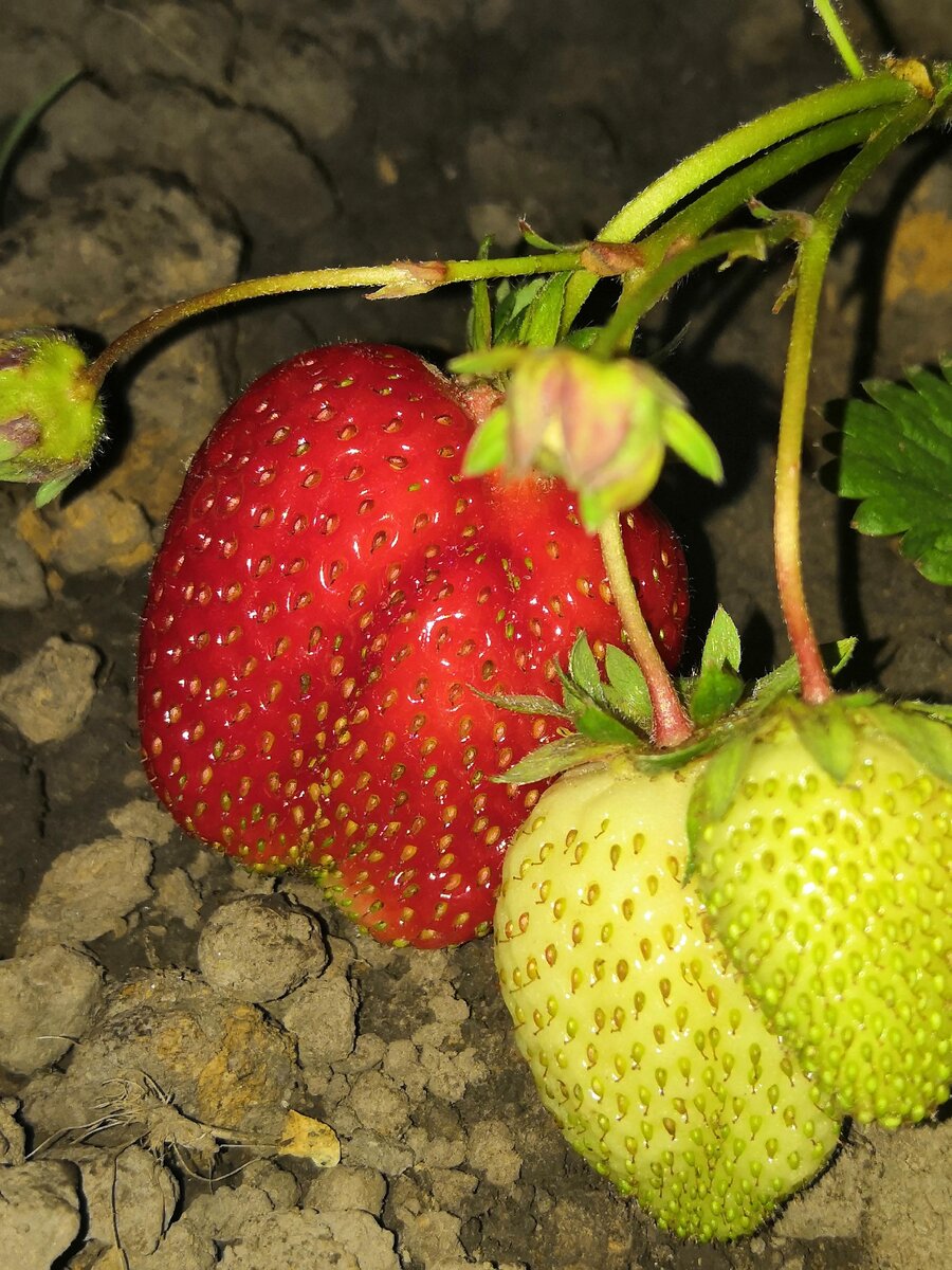 Личное фото автора.