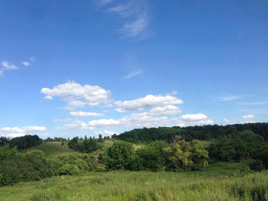 ЭТО ВИД ИЗ ВОРОТ НАШЕЙ СТОЯНКИ