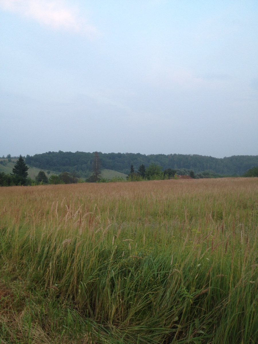 ЭТО НА ПОДЪЕЗДАХ К ДЕРЕВНЕ