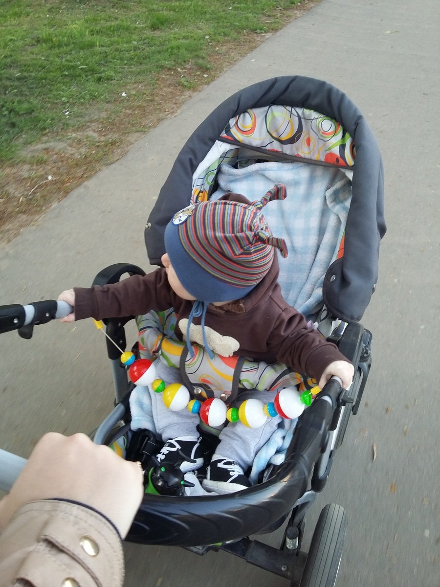 2016 г. Бублику 7 месяцев