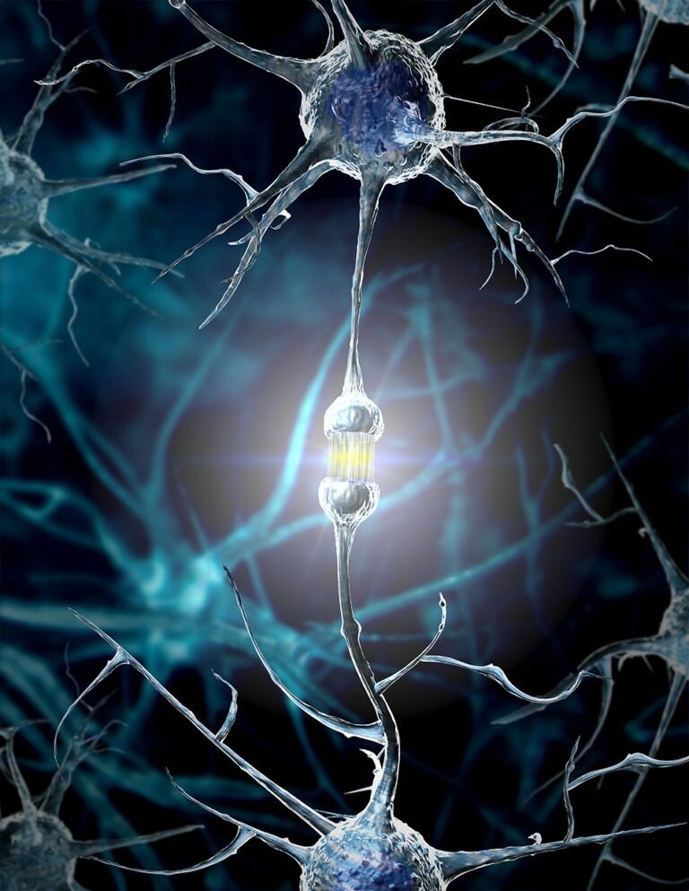 Нейронная связь