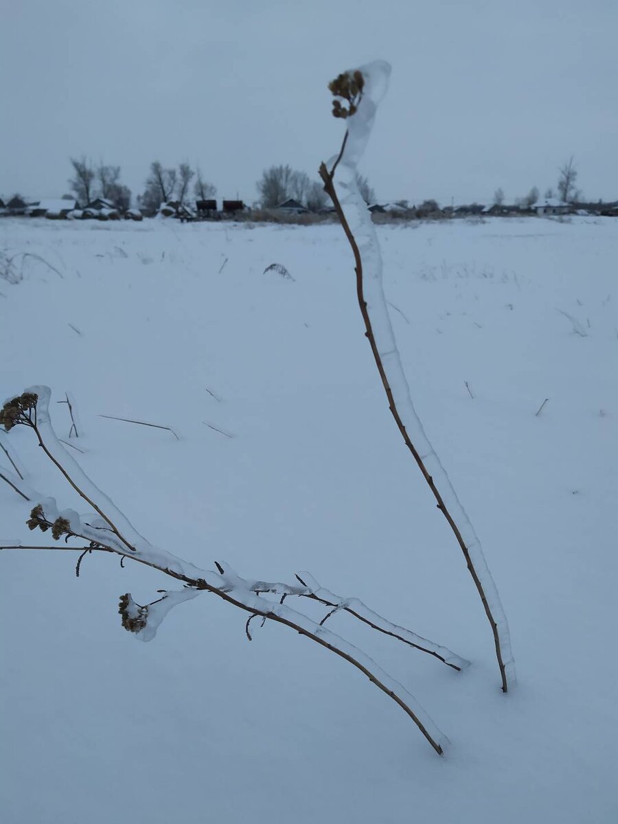 Фото Н.В.Шелеховой