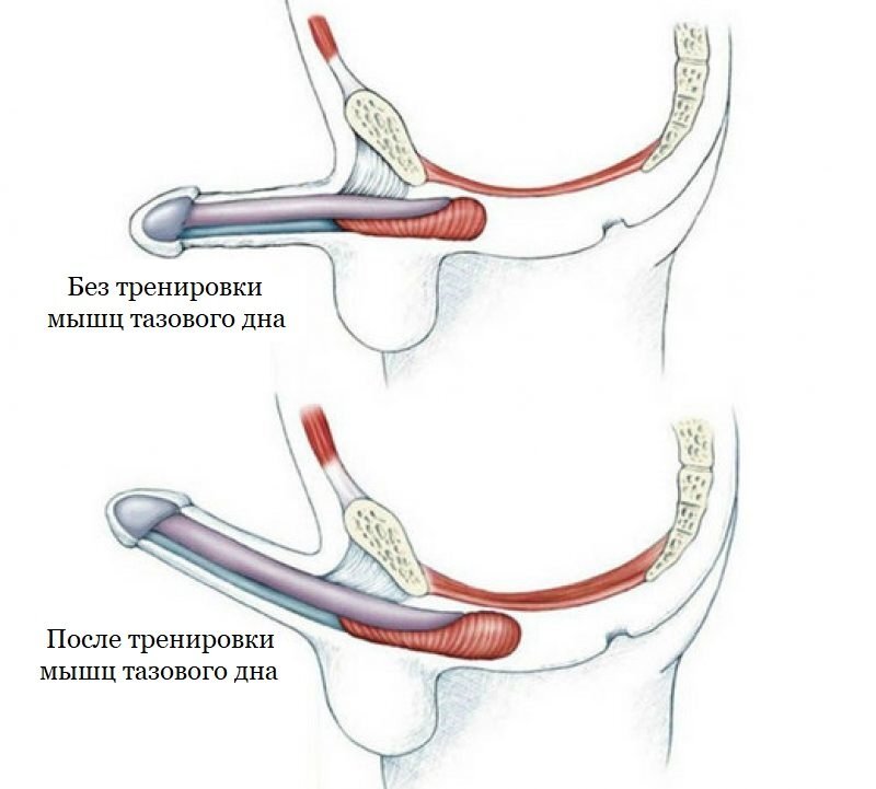 Фото: свободный доступ 