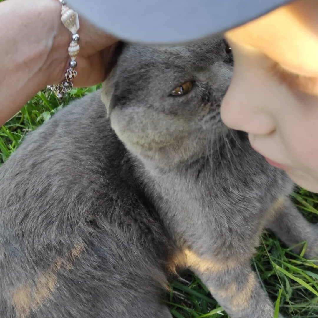 А вот и Семён, знакомится со своей новой семьей ❤