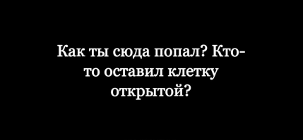 Геологическая практика в Норильске