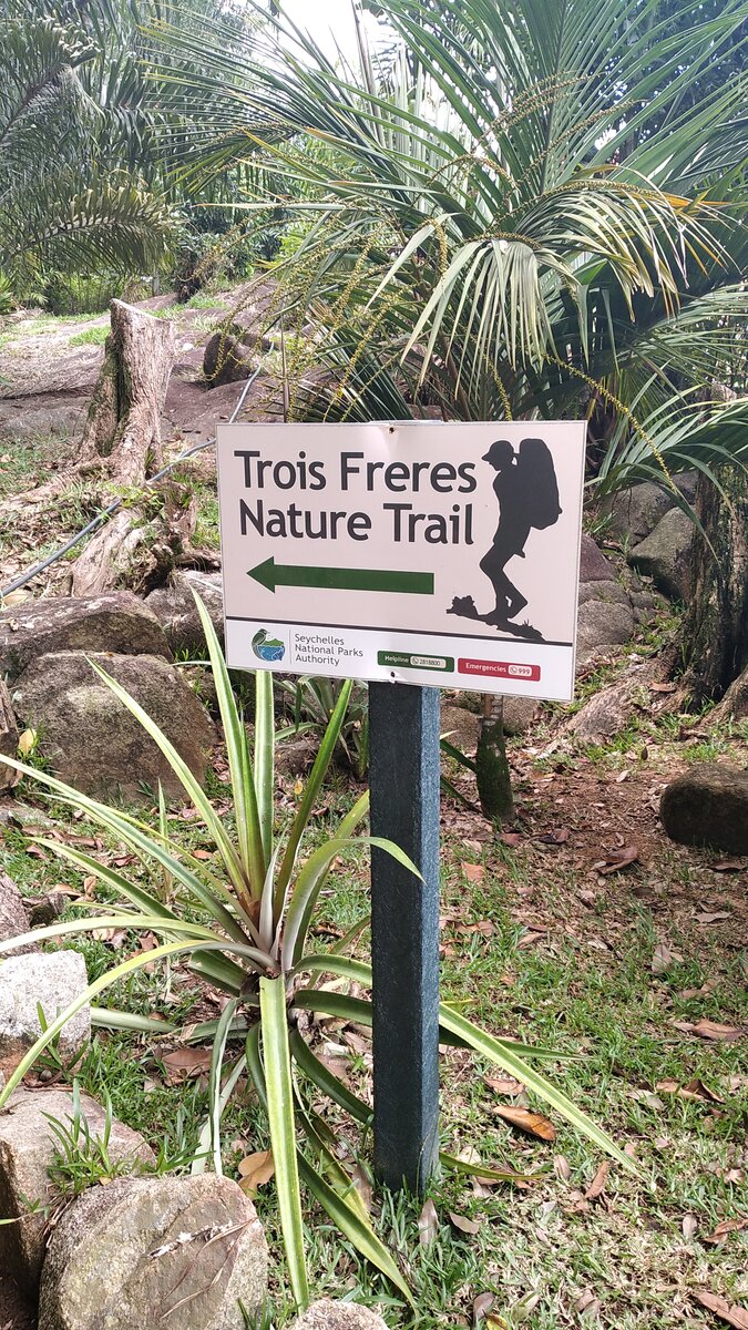 Не бояться, двигаться вперед, четко следовать правилам и верить в лучшее - только так можно выживать людям с орфанными заболеваниями.