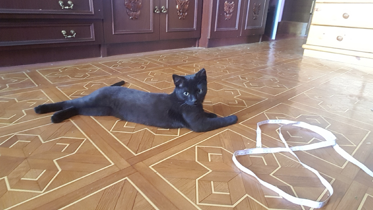 Вот лежит, лапочка-лапочка из себя