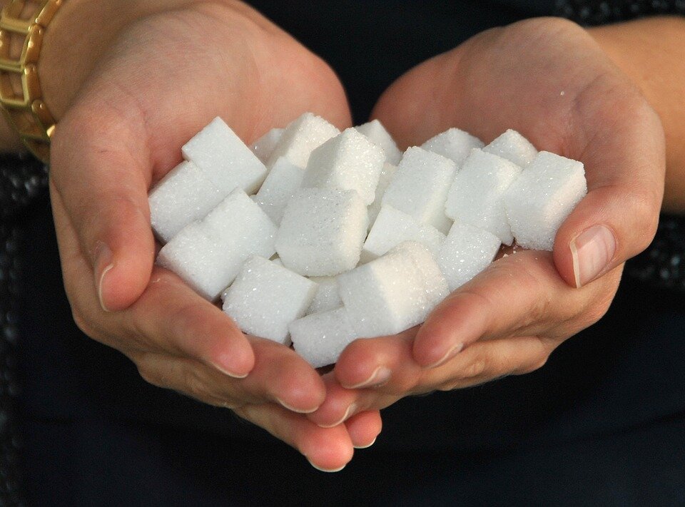 Чем заменить сахар при похудении? Выбираем подсластитель!
