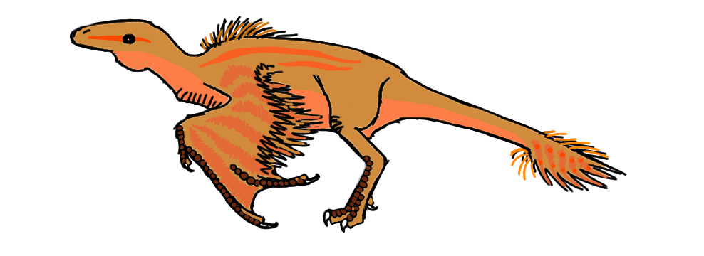 90см в длину, 35 в высоту, ест плоды, насекомых, мелких позвоночных