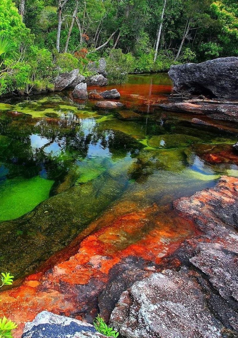 Разноцветная река
