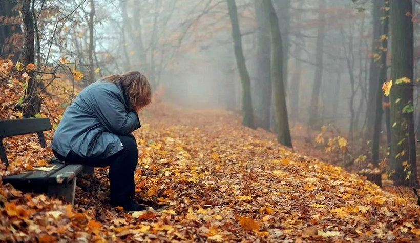 Картинка взята из открытых источников