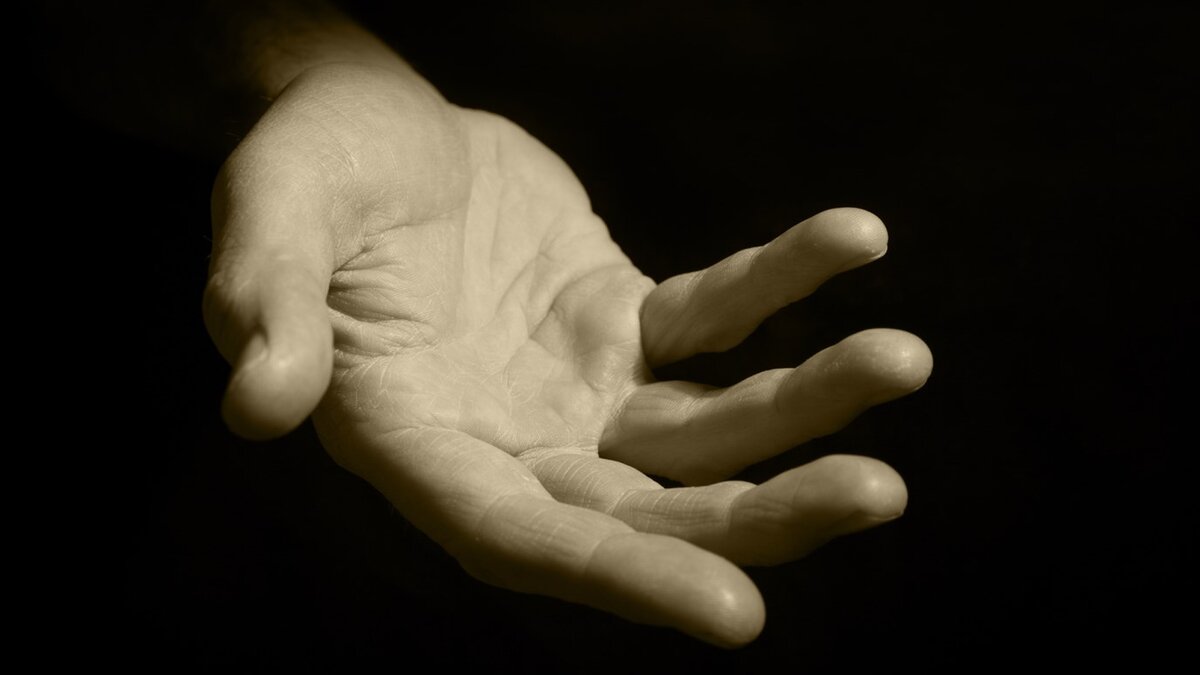 Вот так примерно и выглядят устремления наших партнеров, когда им что-то нужно от России. Источник изображения: voicesevas.ru