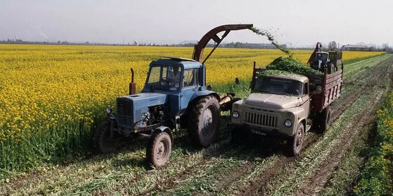 Фото с сайта https://yandex.kz/news/