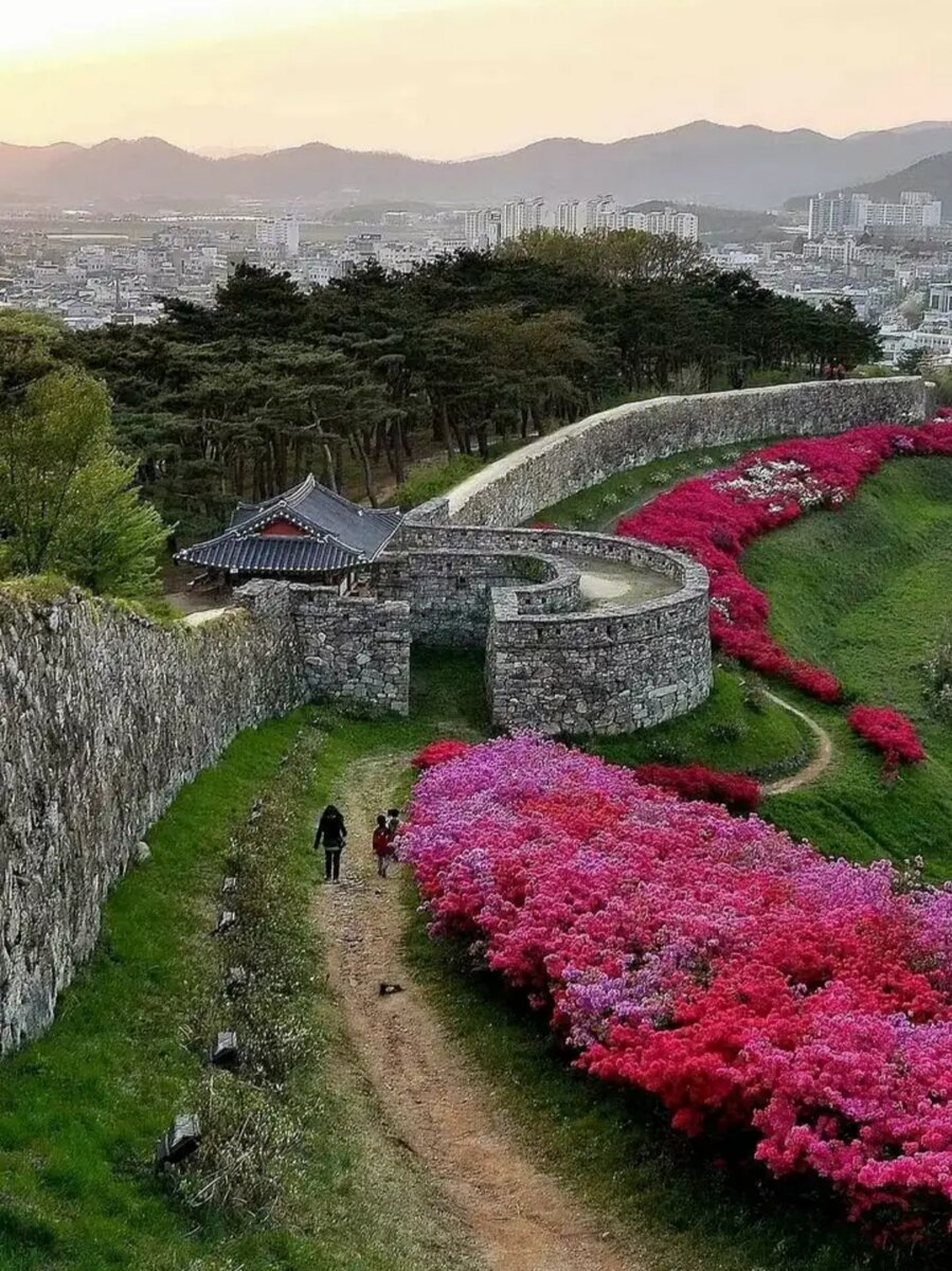 Фото из свободных источников интернета