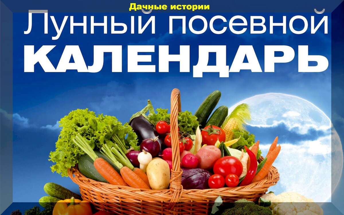 Лунный календарь дачника на август