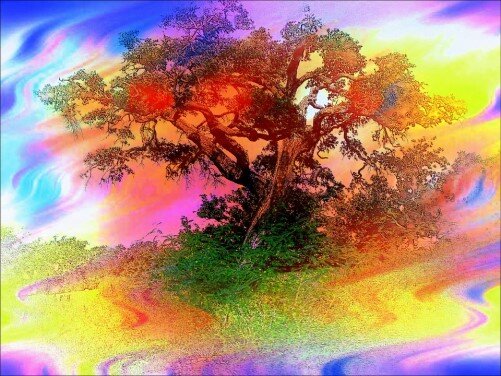 Изображение из открытого источника. Pixabay