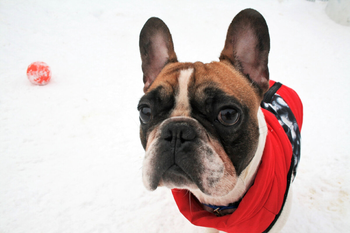 Наш гость Каспер