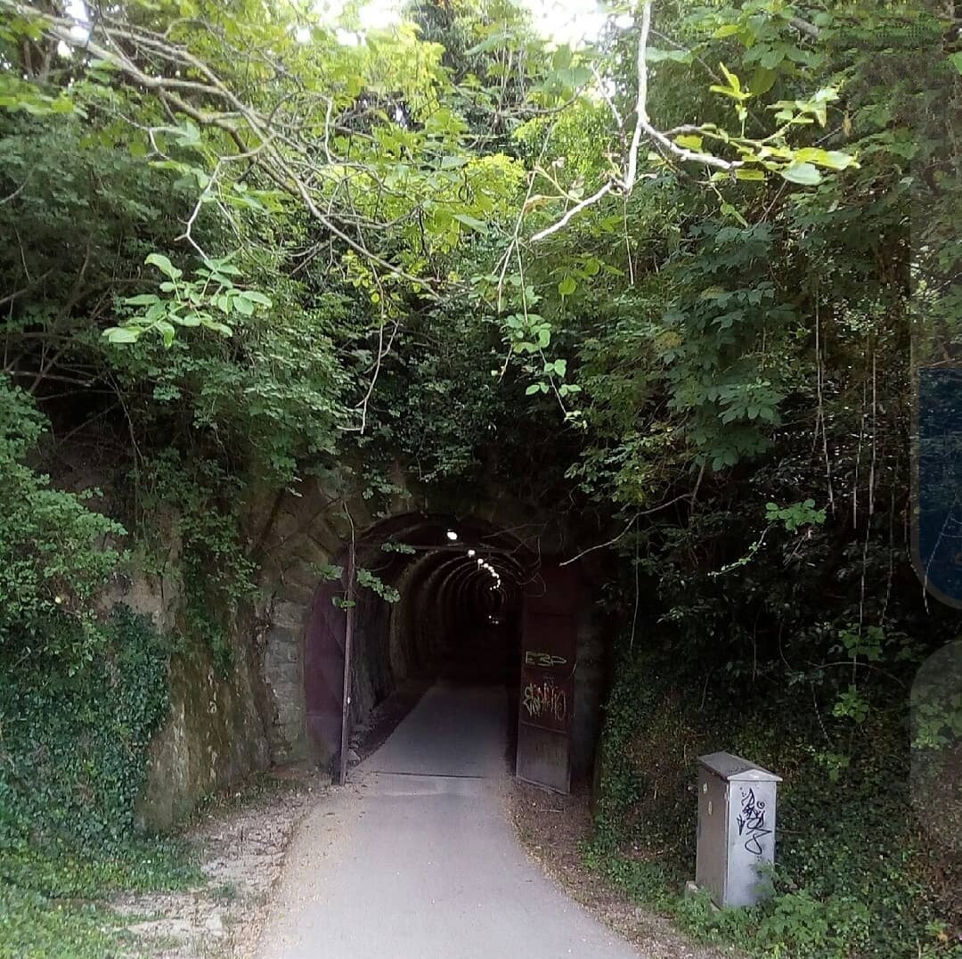 Старый туннель. Среди зелени его было нелегко найти.