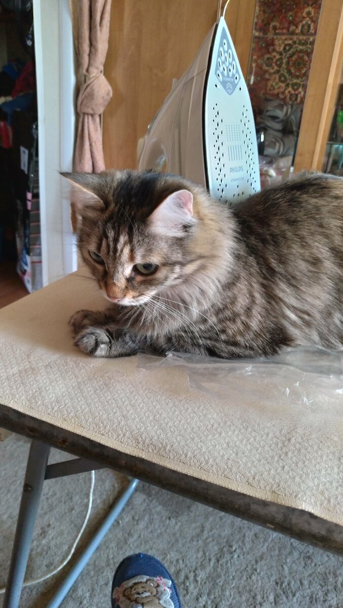 Наша звёздочка Маруся