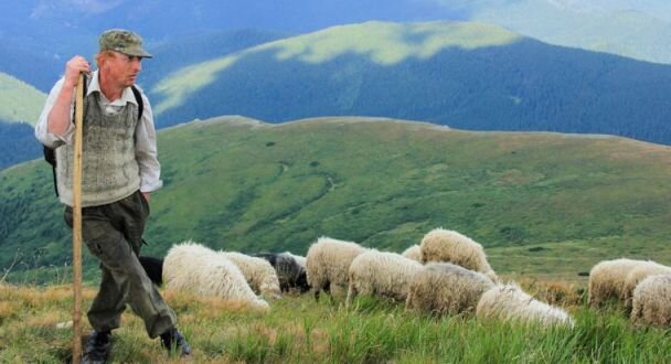 Украинский пастух в  Карпатах
