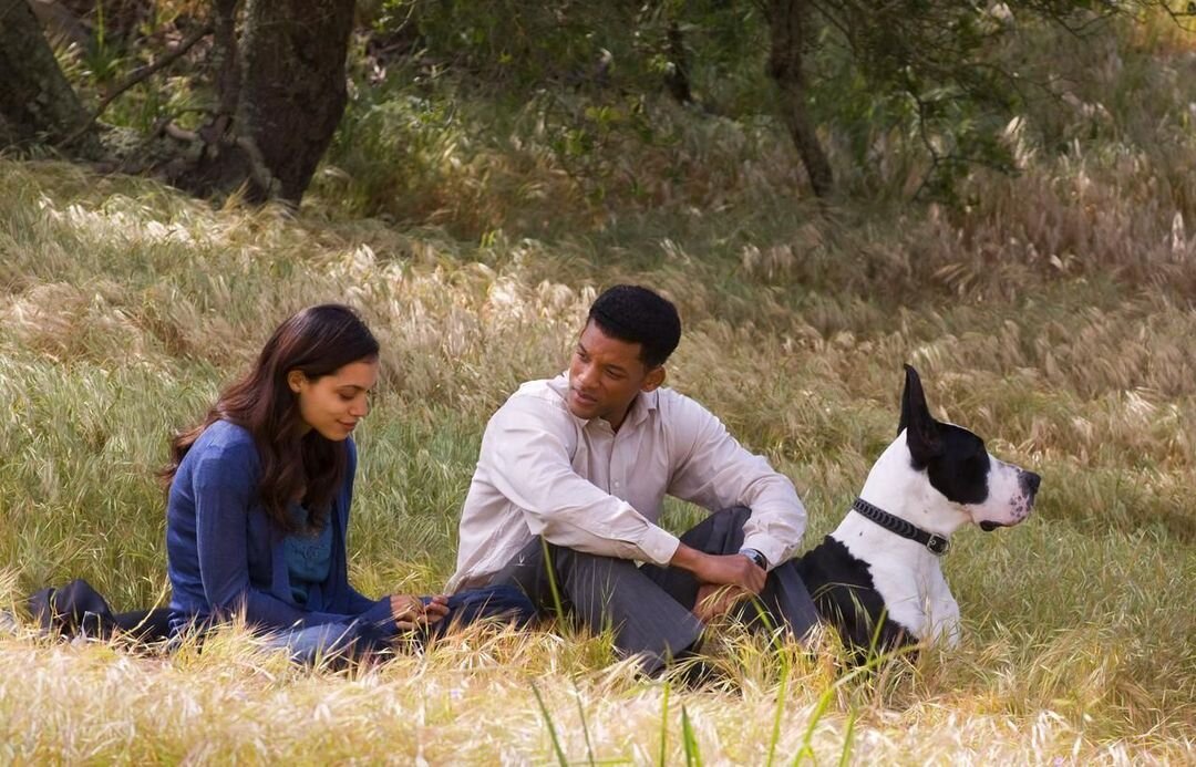 Из источника "Яндекс Картинки"