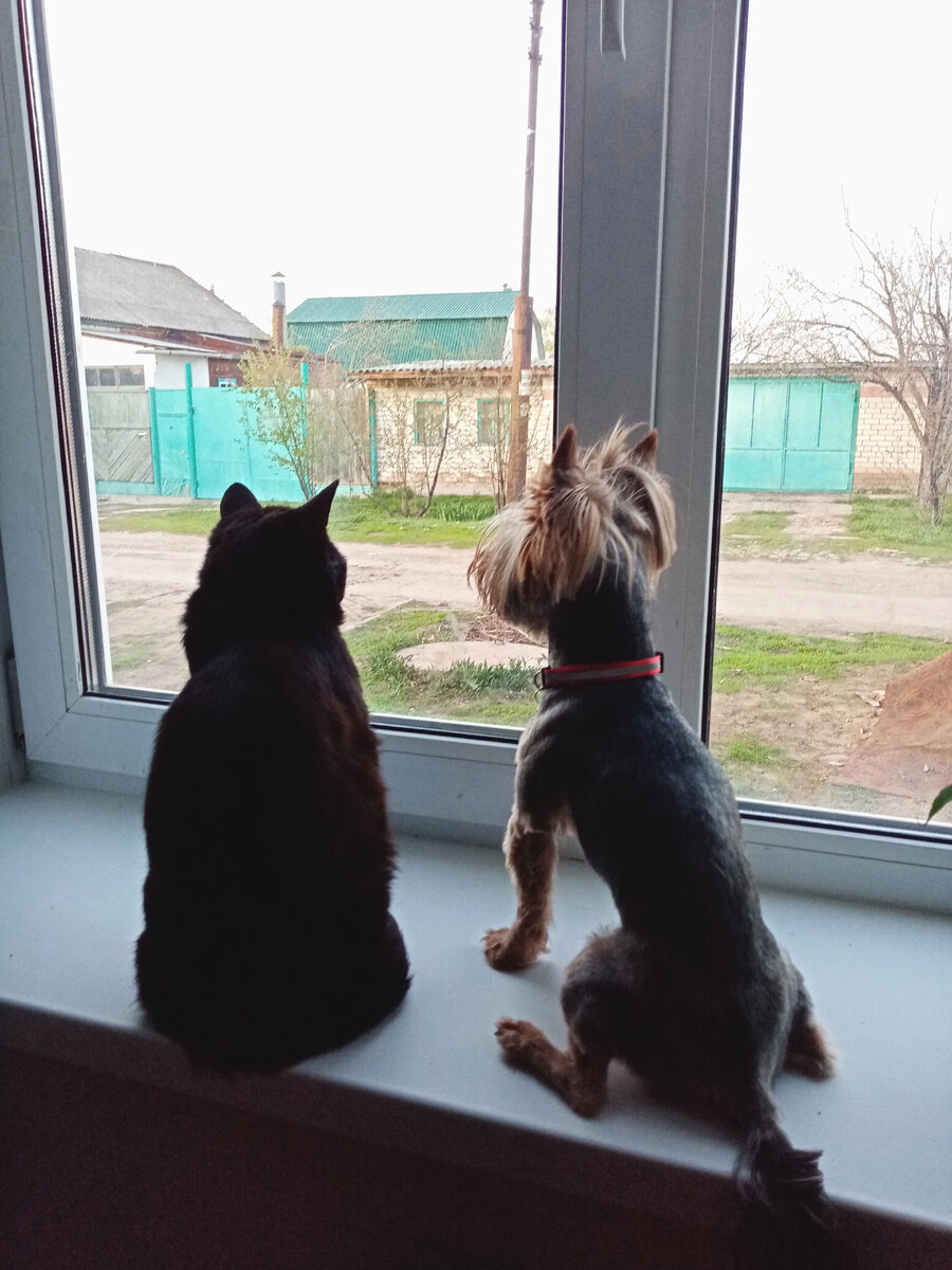 На посту