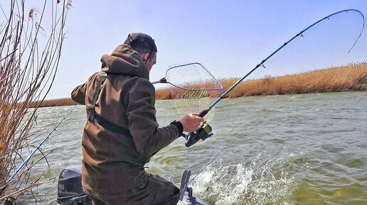 Руки дрожат от такой рыбалки! Попал на жор сазана в Астрахани!