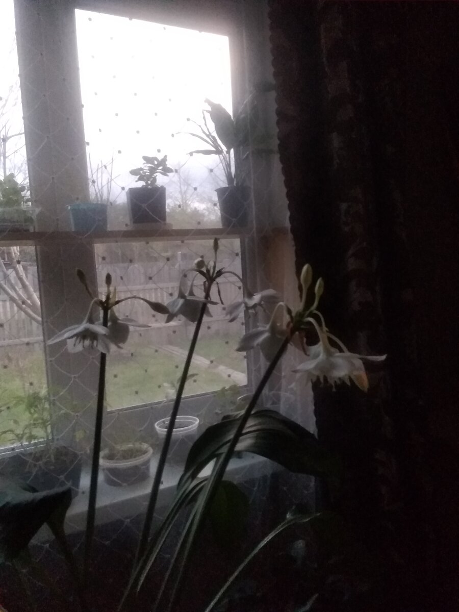 Напишите мнение в комментариях