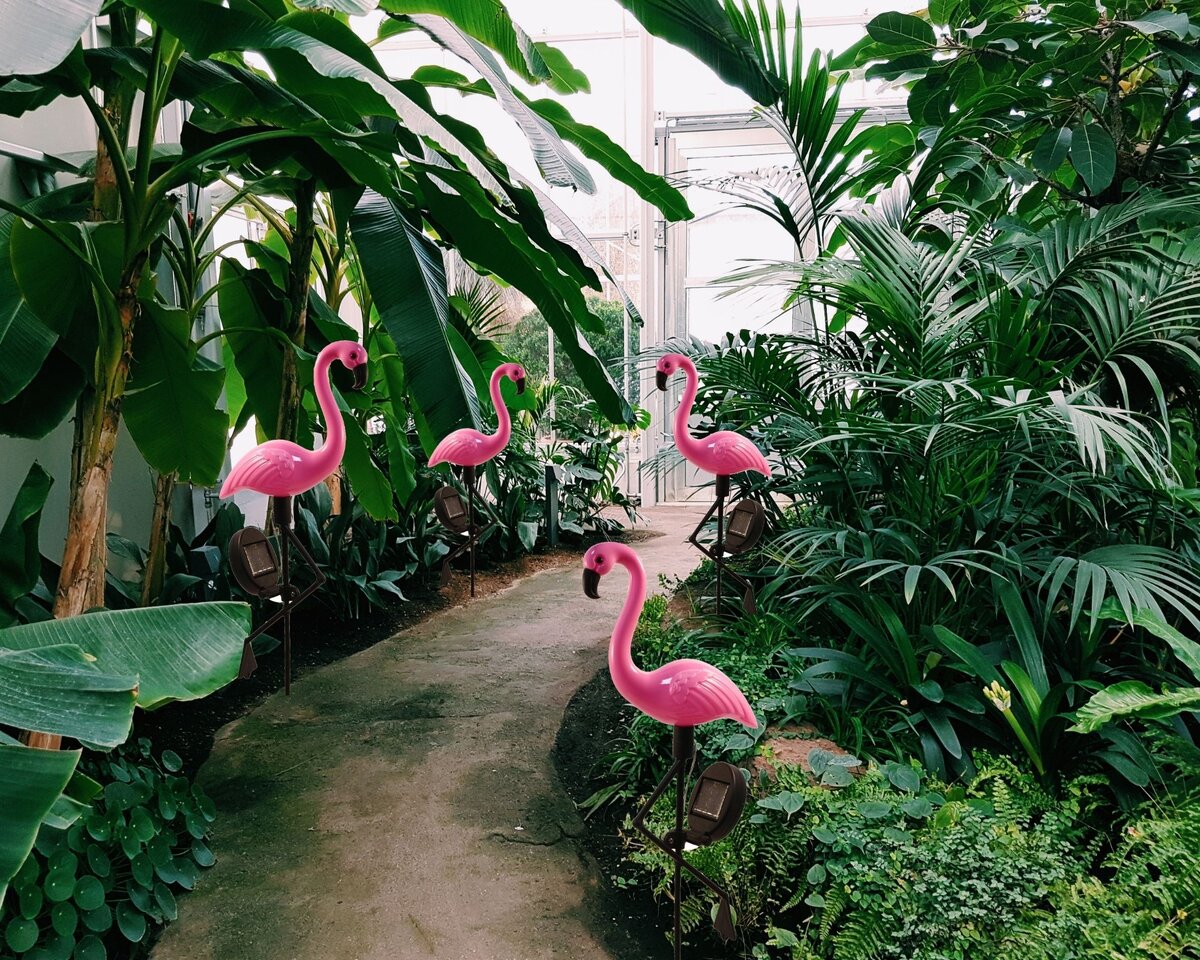 Пример оформления дорожки зимнего сада или теплицы.