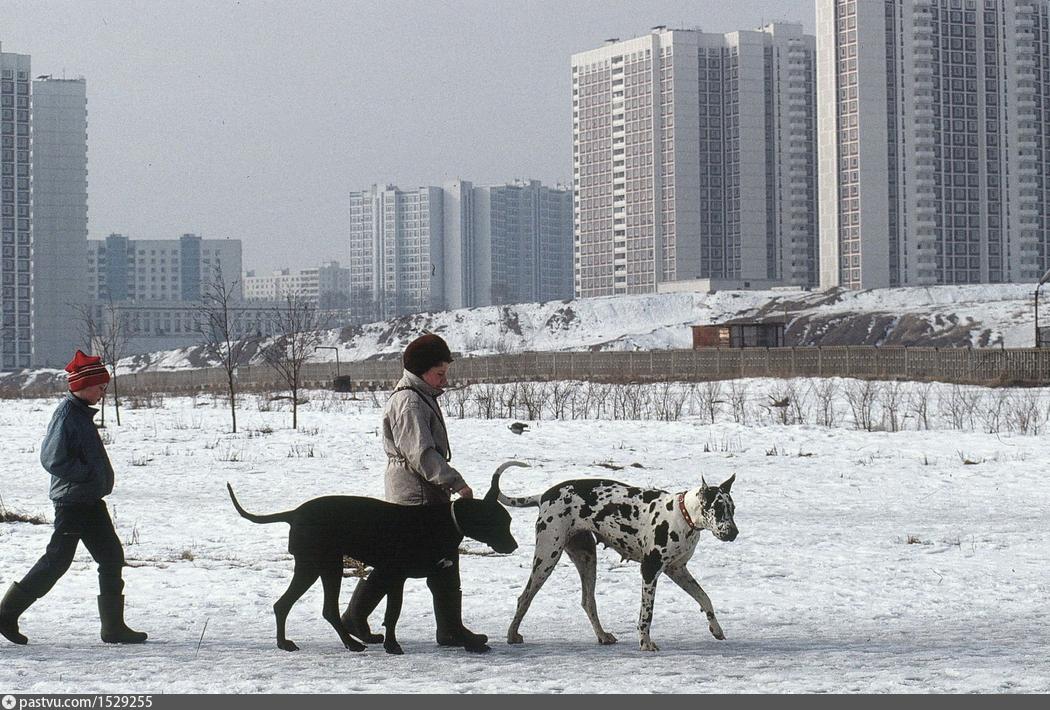 Строгино, 1992 г. Автор: Francoise De Mulder.