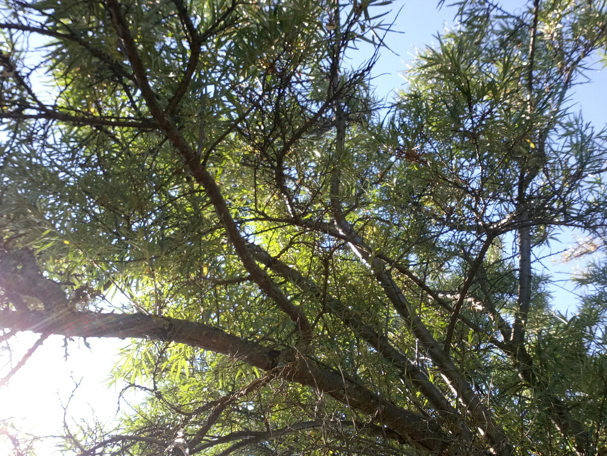 Вот такой мне примерно открывался вид. Попробуй тут что-то разобрать...