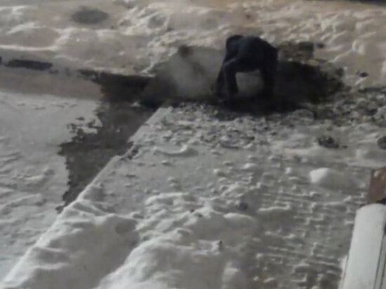     фрагмент видео с камер наблюдения